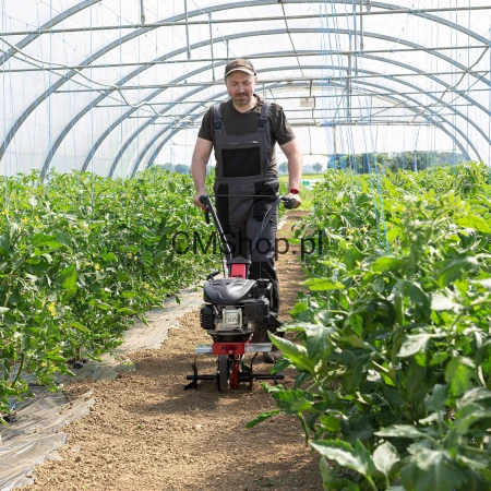 Glebogryzarka AL-KO MH 360 EASY |Przegląd 0 gratis|Uruchomienie Instruktaż gratis