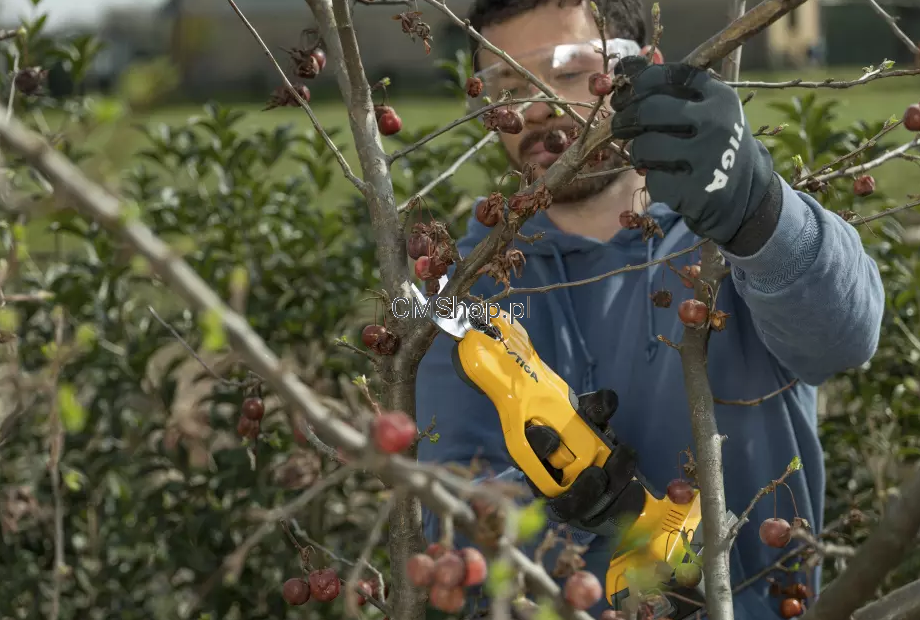 Zestaw  akumulatorowy STIGA SP 100e 2.0 Ah Pilarka + sekator Zestaw |DOSTĘPNY OD RĘKI