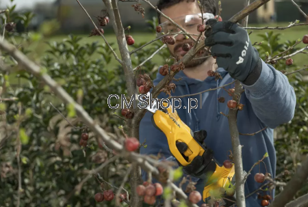 Zestaw  akumulatorowy STIGA SP 100e 2.0 Ah Pilarka + sekator Zestaw |DOSTĘPNY OD RĘKI