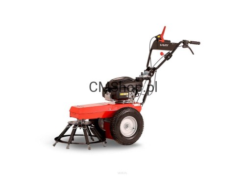 Przejdź do produktu Zamiatarka VARI VEDEX B-60 SILNIK HONDA GCV 200 do usuwania chwastów z kostki Odchwaszczarka | DOSTĘPNA | Przeglad 0 gratis