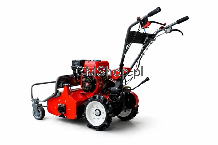 MASTERCUT SG850 212CC 50CM_3.png